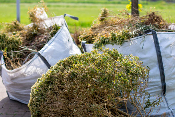 Best Affordable Junk Removal Services  in Empire, CA